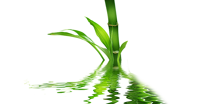 Диарея лечение у взрослых. Диарея причины и лечение у взрослых.