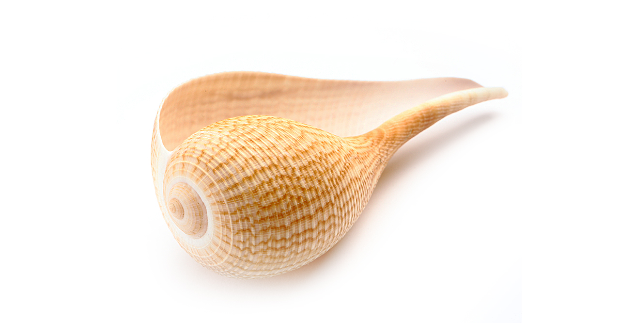 Гидронефроз лечение. Гидронефроз правой и левой почек. Гидронефроз ...