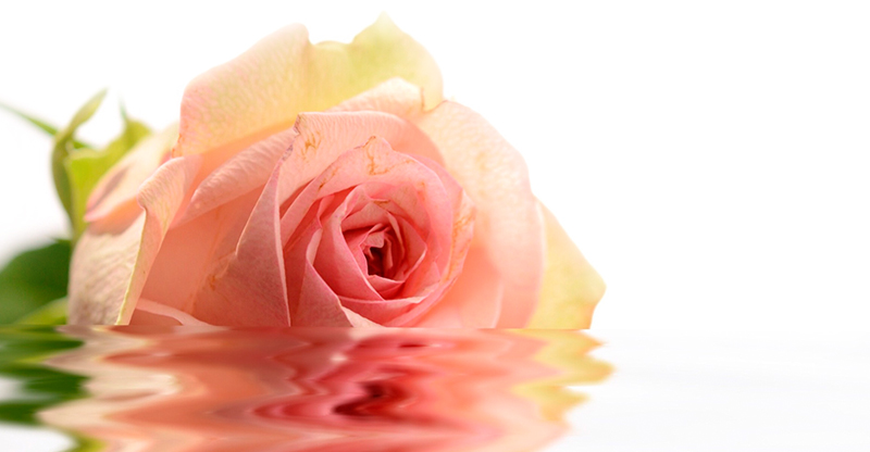 Вульводиния лечение. Вульводиния симптомы и лечение у женщин.