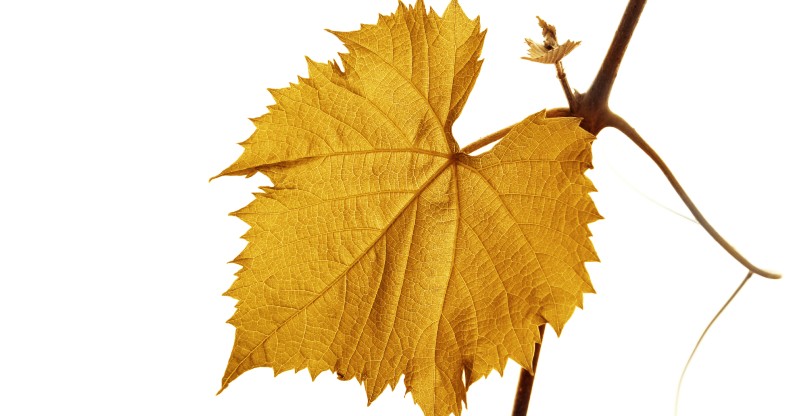 Как лечить тревожное расстройство - генерализованное тревожное ...