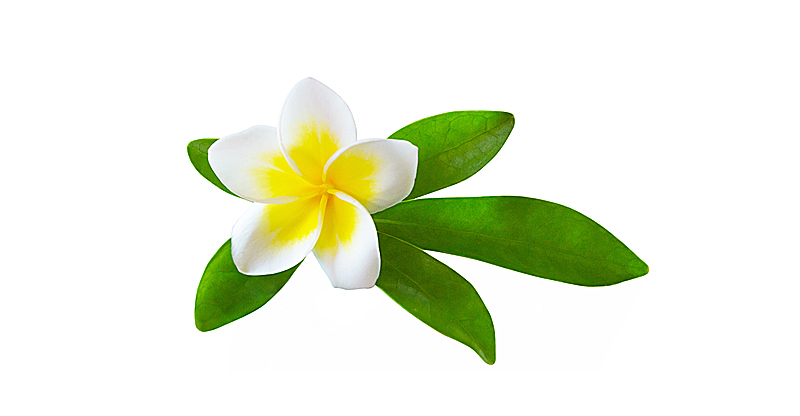 Стеатоз печени лечение. Неалкогольный стеатогепатит симптомы. Стеатоз ...