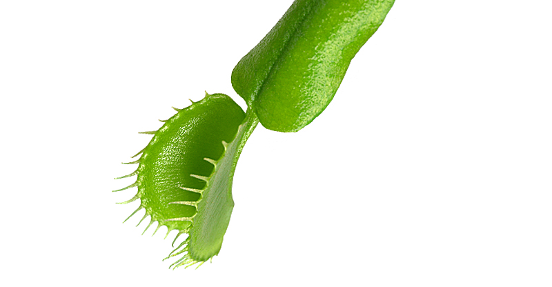 Ахалазия кардии лечение. Ахалазия кардии пищевода симптомы. Диагностика ...